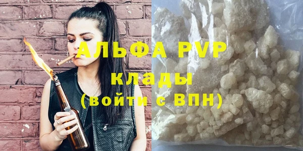 твердый Богданович