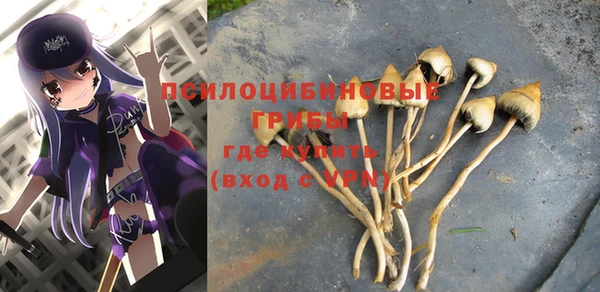 мдпв Бугульма