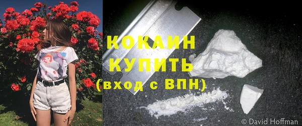 мдпв Бугульма