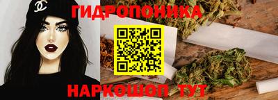jwh Аргун