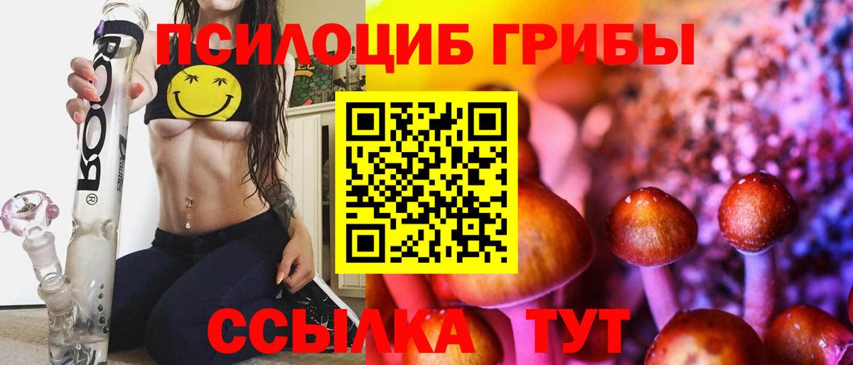 Галлюциногенные грибы GOLDEN TEACHER Великий Устюг