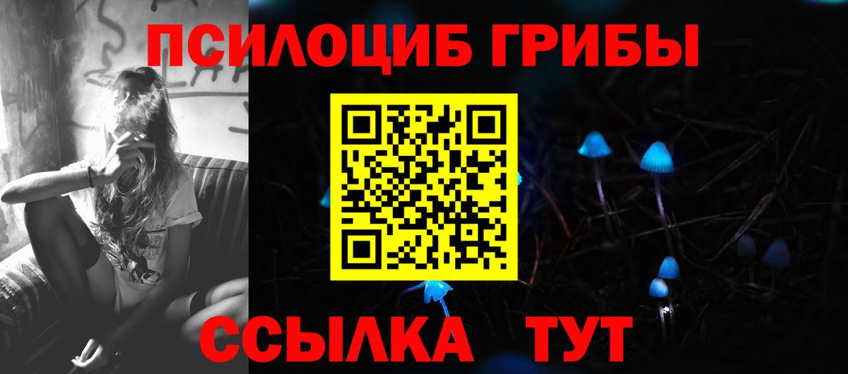 Псилоцибиновые грибы Cubensis  Вход с VPN  Галлюциногенные грибы ЛСД  Великий Устюг 